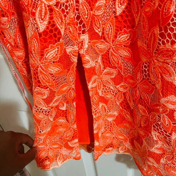 Alex Marie Crystal Embroidered Lace Sleeveless Dress, Sz 4 -- NWT - Picture 7 of 11